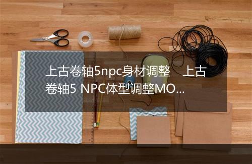 上古卷轴5npc身材调整 上古卷轴5 NPC体型调整MOD