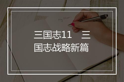 三国志11 三国志战略新篇