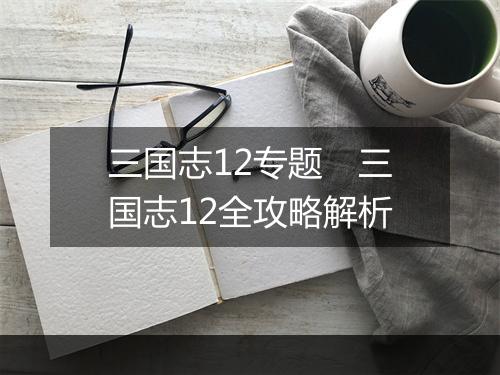 三国志12专题 三国志12全攻略解析