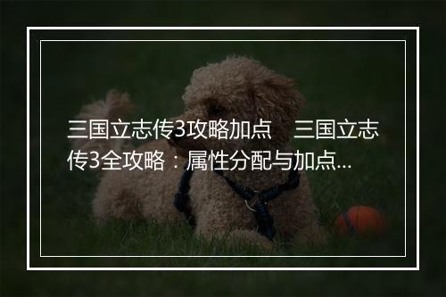 三国立志传3攻略加点 三国立志传3全攻略:属性分配与加点指南